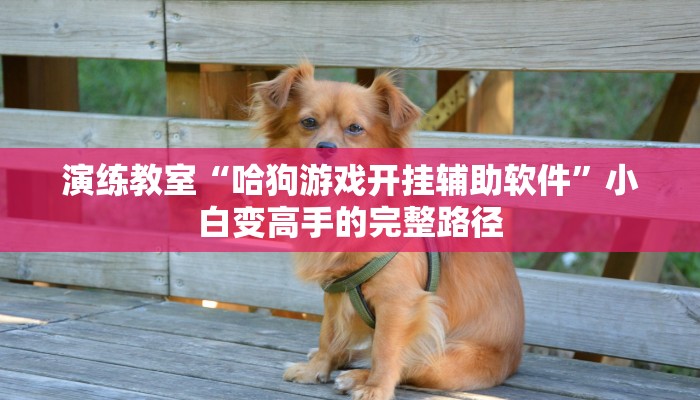 防呆教学“小熊联盟能开挂吗”关键节点总结与复盘 防呆教学“小熊联盟能开挂吗”关键节点总结与复盘