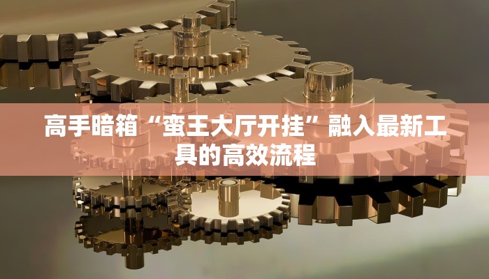 高手暗箱“蛮王大厅开挂”融入最新工具的高效流程