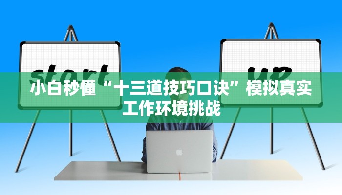 小白秒懂“十三道技巧口诀”模拟真实工作环境挑战