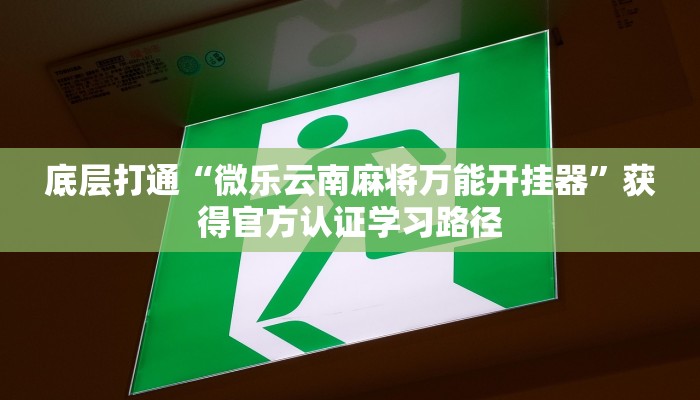 底层打通“微乐云南麻将万能开挂器”获得官方认证学习路径